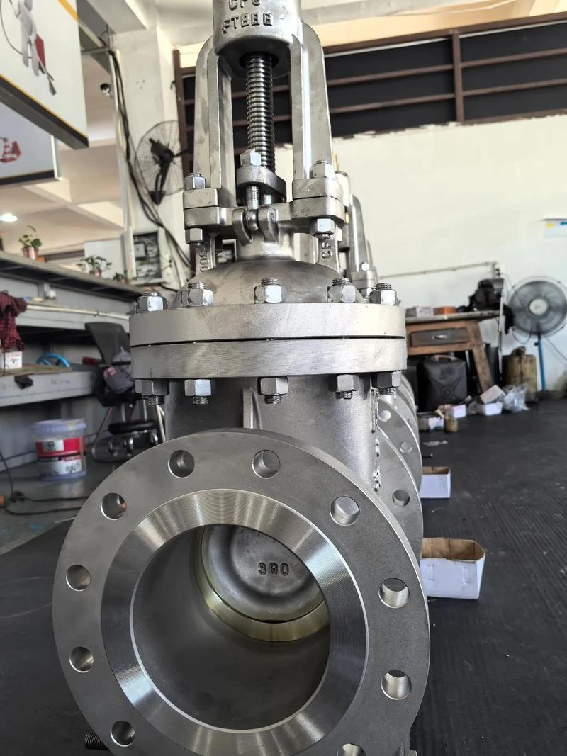 Stainless Steel Gate Valve